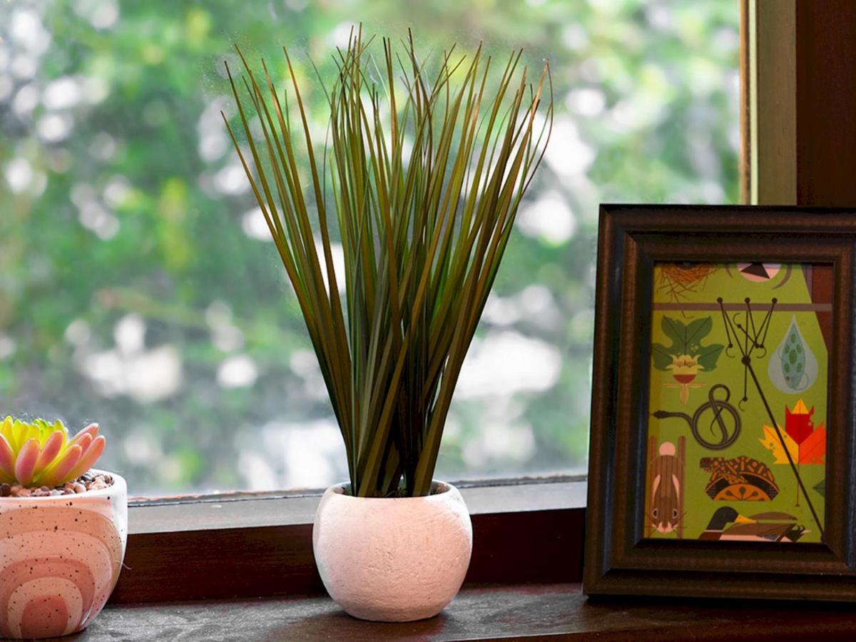 Pass The Keys Stunning 3 Bedroom Apt Leafy South Belfast With Lots Nearby Ngoại thất bức ảnh